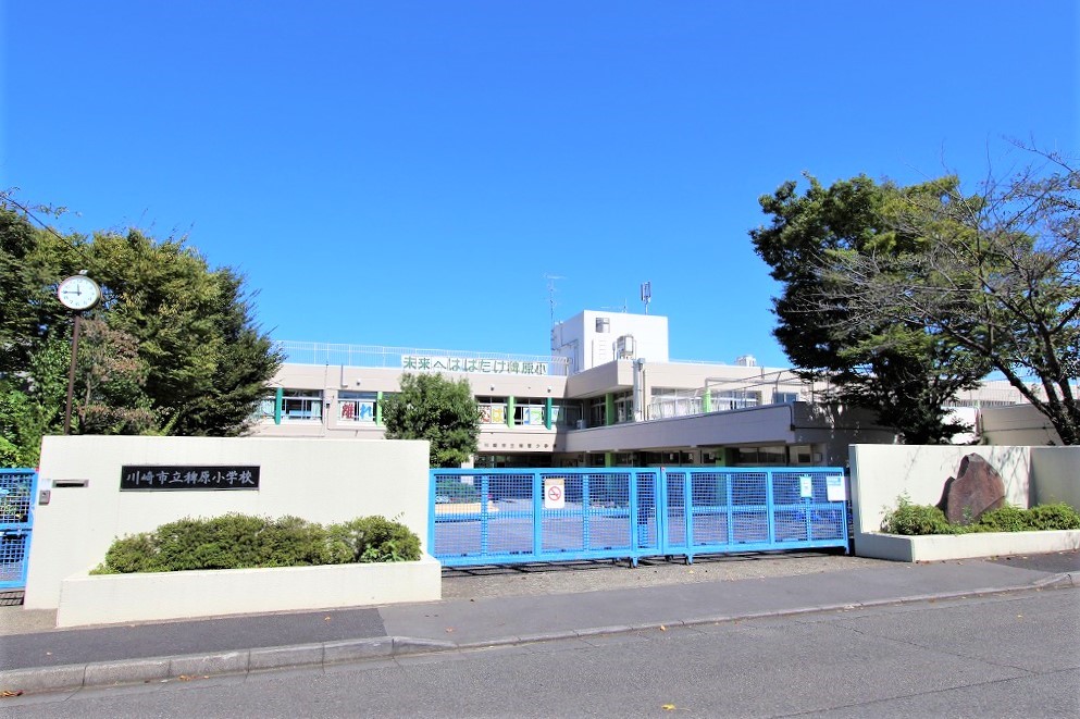 小学校(500m)-川崎市立稗原小学校(●「～チーム稗原《児童・全職員・保護者・地域》でつくる一人一人が輝く学校～」を学校目標に掲げる稗原小。子どもたちの笑顔と自由な発想、確かな学びの姿勢を育みます●)